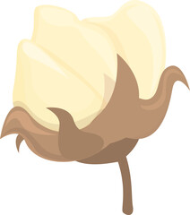 Organic cotton icon cartoon vector. Plant flower. Nature textile