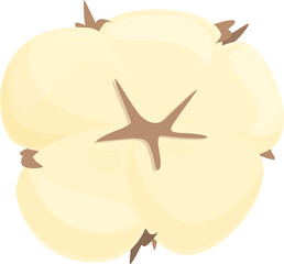 Cotton flower icon cartoon vector. Organic ball. Fiber plant