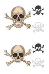Human skull with bones isolated on white. Hand drawn skull illustration. Two options. Vector illustration