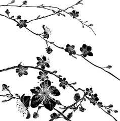 Cherry Blossom Flowers Background Pattern