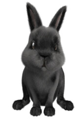 3D Black bunny