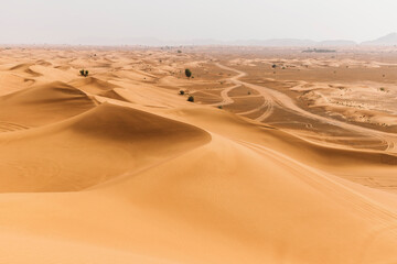 Fototapeta na wymiar Sand dunes in the United Arab Emirates