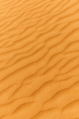 Naklejka na ściany i meble Sand dunes in the United Arab Emirates