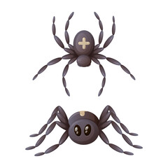 Spider with a cross on its back, top and side view, cartoon vector illustration