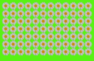 Pretty floral pattern for print.