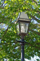 Street light with glass chimney nestled under street light with glass chimney nestled under deciduous tree.