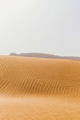 Fototapeta na wymiar Desert in the United Arab Emirates