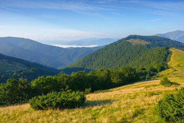 Naklejka na ściany i meble mountainous countryside scenery in morning light. fog in the distant valley. forested hills beneath a bright blue sky