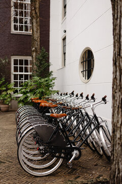 Bikes rack placed on backyard in Netherlands