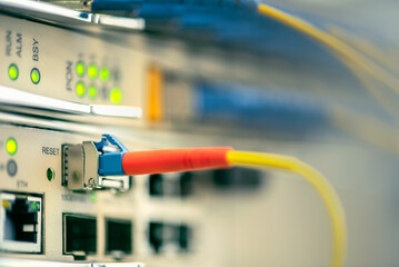 Optical Line Terminal with Connected Fiber Optic Patch Cords Close-up