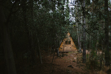Cabin In The Woods