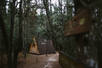 Cabin In The forest
