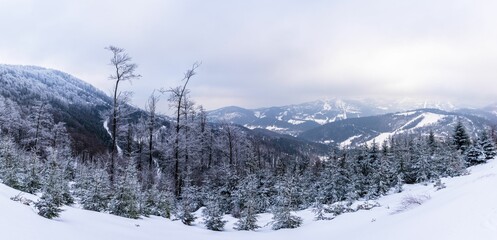 Panorama gór w zimie