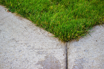 concrete path on a green lawn