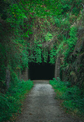 Tunnel to the mistery