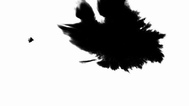 Ink Blot Blemish Leaking and Spreading over Paper in Black and White