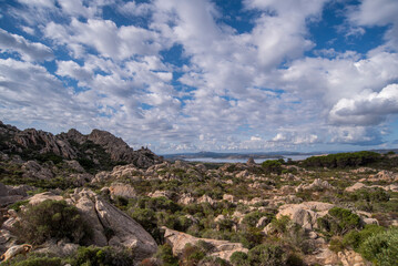 Fototapeta premium Caprera, l'isola delle capre, Sardegna