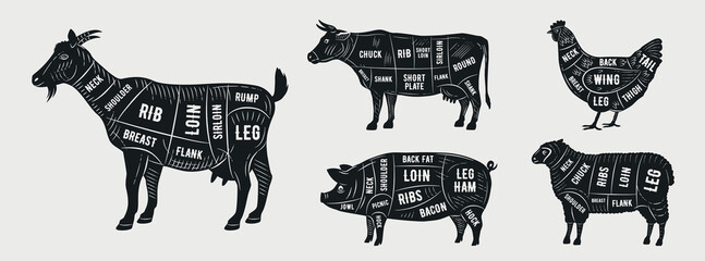 Butcher's guide set. Goat, Lamb, Cow, Chicken, Pork silhouette cuts. Meat diagram. Cuts of Meat. Vector illustration