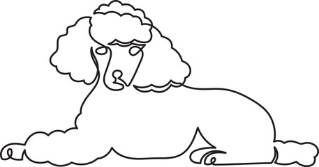 poodle dog breeds pet minimal outline art