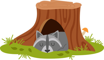 Sleeping raccoon in the burrow. Vector illustration © Mykola Syvak