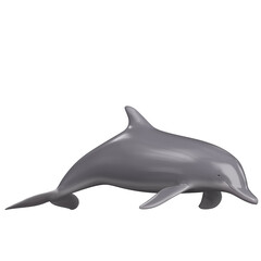 3d rendering illustration of a dolphin