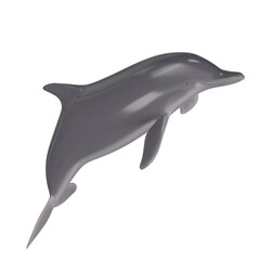 3d rendering illustration of a dolphin