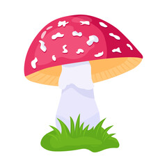 A flat illustrative vector of mushroom 