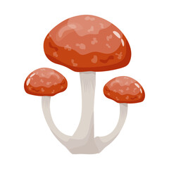 A flat illustrative vector of mushroom 