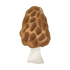 A flat illustrative vector of mushroom 