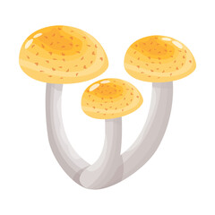 A flat illustrative vector of mushroom 
