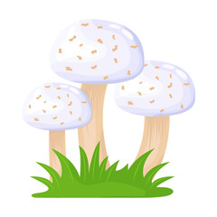 A flat illustrative vector of mushroom 