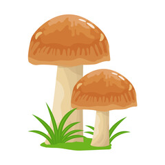 A flat illustrative vector of mushroom 