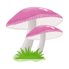 A flat illustrative vector of mushroom 