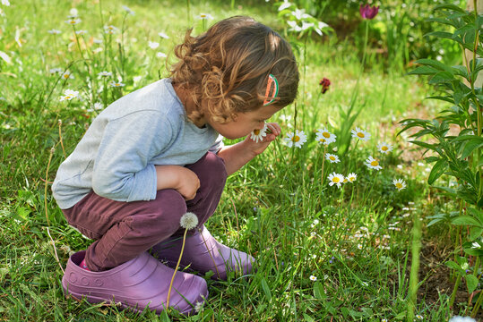 A child smelling fresh flower