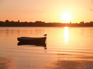 Beautiful intense golden hour sunrise effect across Tauranga harbour