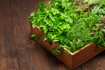 a top of bunch of green dill, parsley, salad, herbs and other greens in a wooden box, dark wood background, concept of fresh vegetables and healthy food