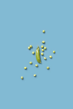 Closed pea pod with ripe peas on blue background