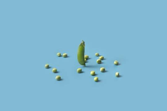 Closed pea pod against blue background