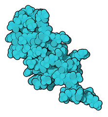 B-cell maturation antigen (BCMA, extracellular domain) protein. 3D rendering based on protein data...