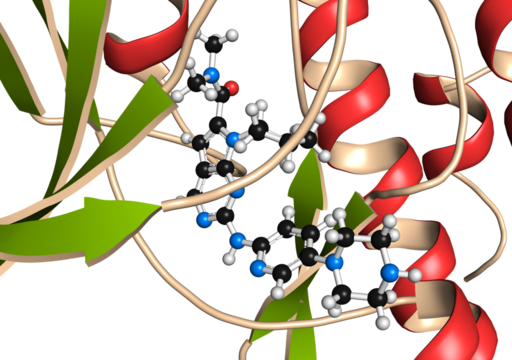 Cyclin-dependent kinase 6 (CDK6) bound to the inhibitor ribociclib. Enzyme involved in cell cycle regulation and target of several antitumoral drugs.