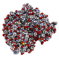 Estrogen receptor (ligand binding domain), bound to bisphenol A (BPA). 3D rendering based on protein data bank entry 3uu7.