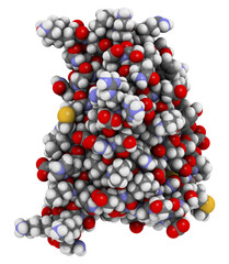 Interleukin 2 (IL-2) cytokine protein. Aldesleukin is a recombinant analog of IL-2 that is used in the treatment of cancer. 3D rendering based on protein data bank entry 1z92.
