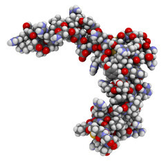 Sclerostin (murine) protein. Causes decreased bone formation by inhibiting the Wnt signaling pathway. Target of romosozumab, a monoclonal antibody for the treatment of osteoporosis. 