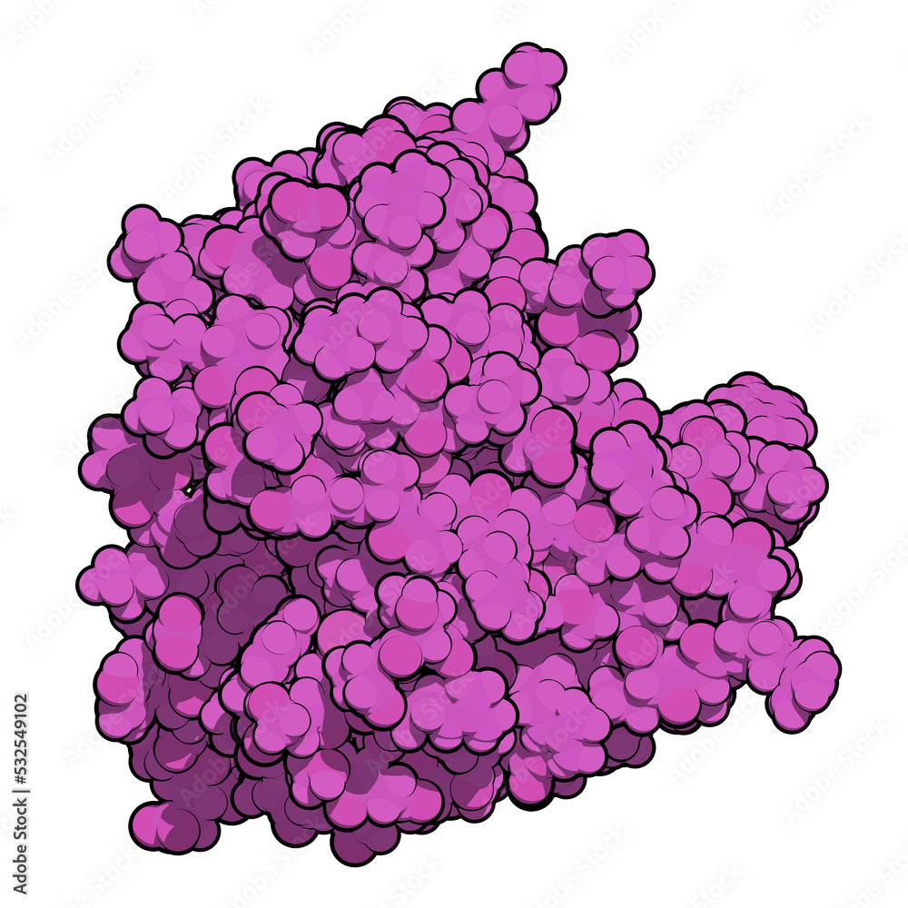 Canvas Prints thaumatin sweetener protein. isolated from katemfe fruit. 3d rendering based on protein data bank en