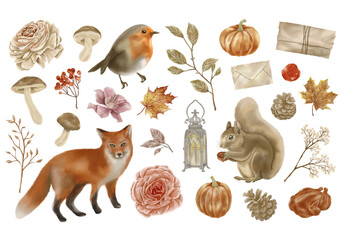 Watercolor Fall Autumn Clipart Illustrations