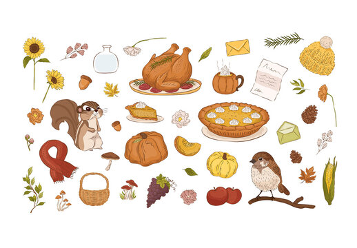 Autumn Fall Thanksgiving Clipart Illustrations
