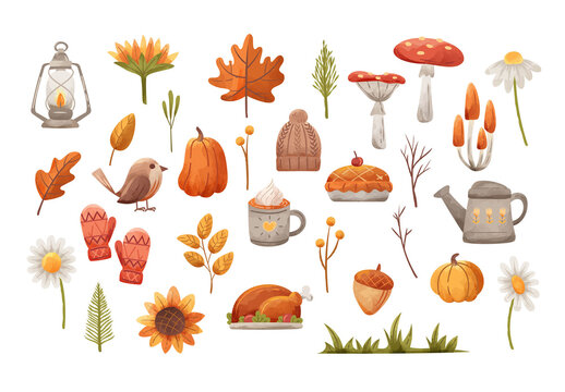 Autumn Fall Thanksgiving Vector Clipart Illustrations