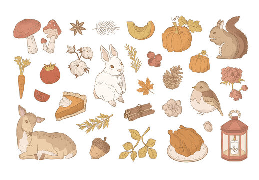 Rustic Fall Autumn Illustrations