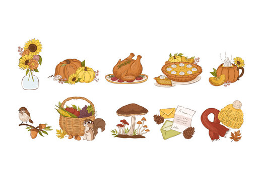 Autumn Fall Thanksgiving Illustrations