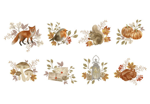 Fall Autumn Clipart Illustrations with Rustic Watercolor Style